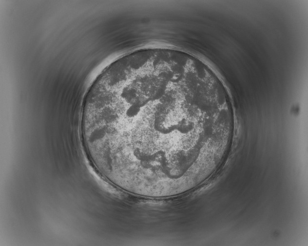 X0000114681245200911121449