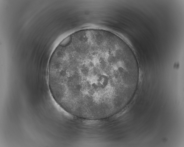 X0000114681247200911121449