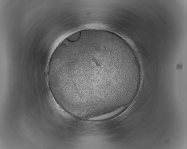 X0000114681248200911121449