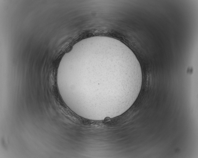 X0000114681250200911121449