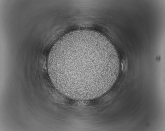 X0000114681251200911121449