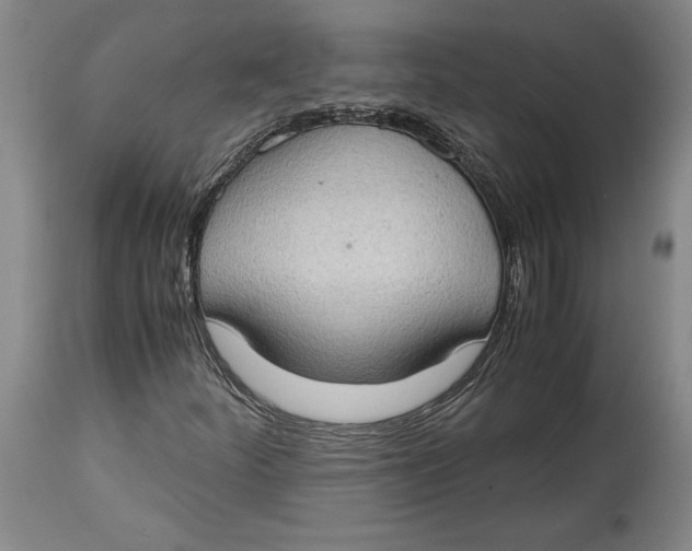 X0000114681252200911121449
