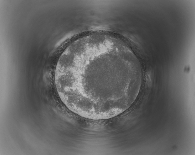 X0000114681254200911121449