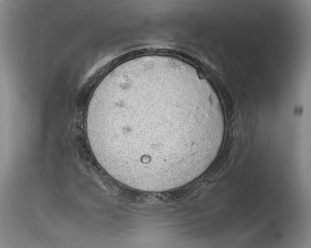 X0000114681255200911121449