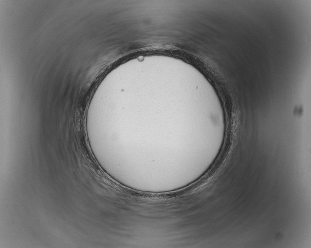 X0000114681257200911121449