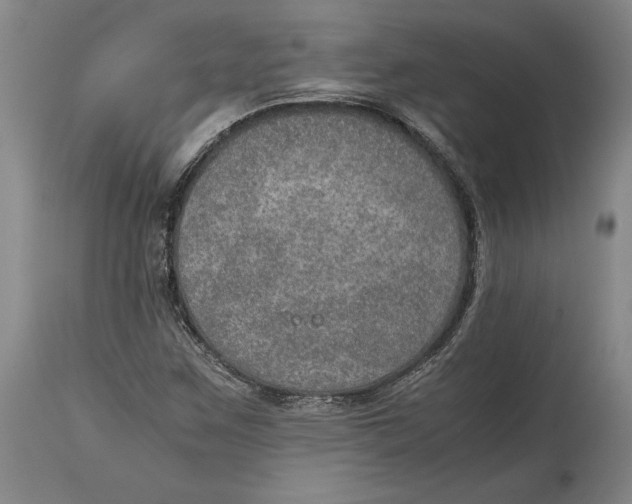 X0000114681259200911121449