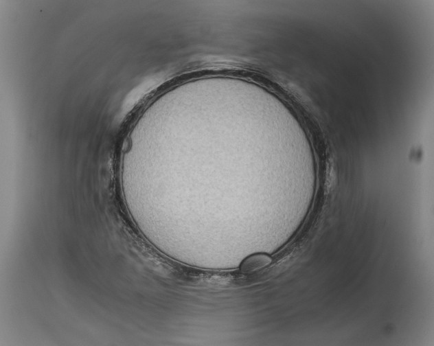 X0000114681261200911121448