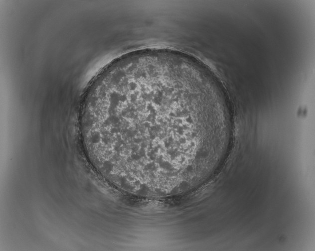 X0000114681263200911121448