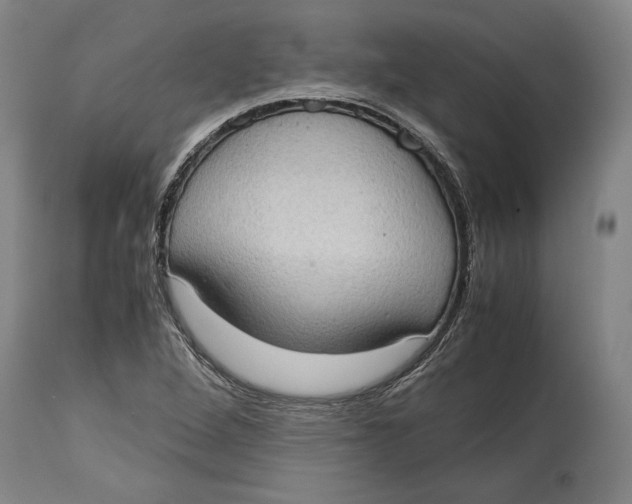 X0000114681264200911121448