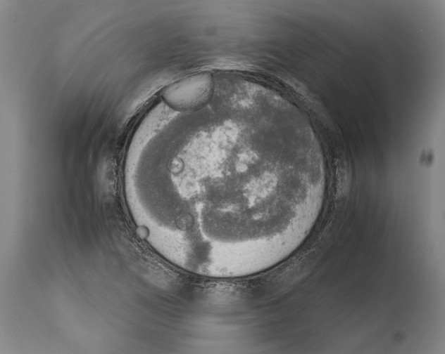 X0000114681266200911121448