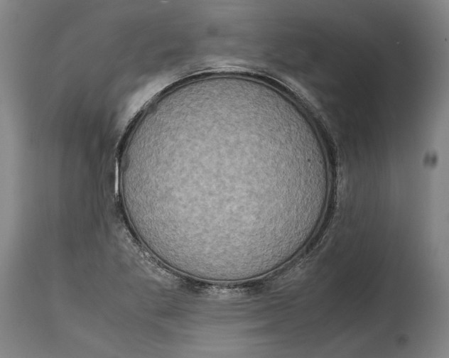 X0000114681269200911121448
