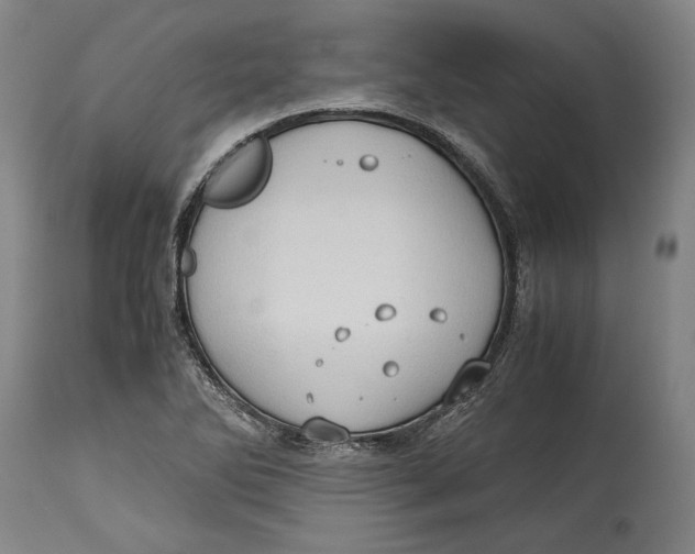 X0000114681270200911121448