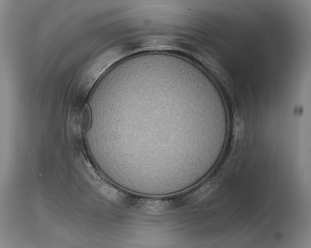 X0000114681273200911121448