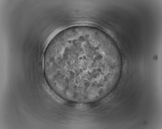 X0000114681275200911121448