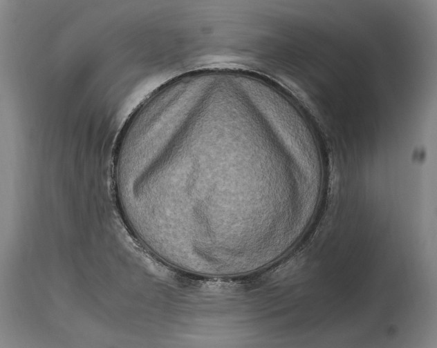 X0000114681277200911121448