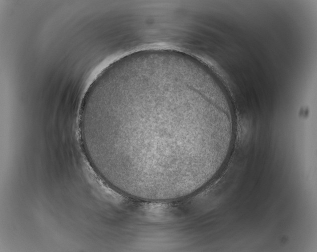 X0000114681278200911121448