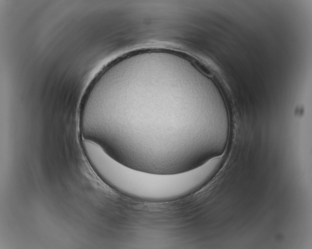 X0000114681280200911121448