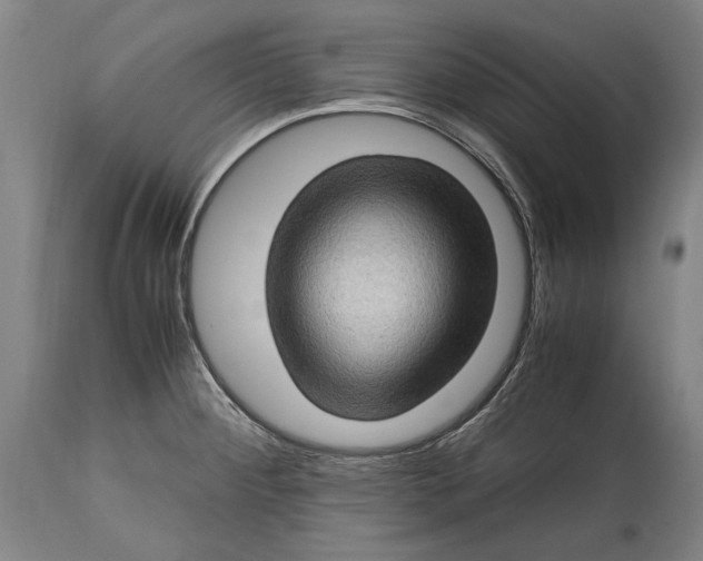 X0000114681284200911121448