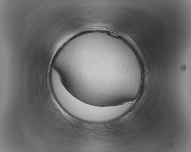 X0000114681285200911121448