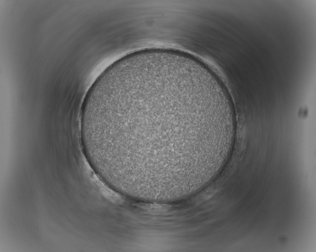X0000114681287200911121448