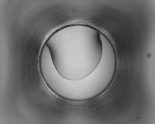 X0000114681288200911121448