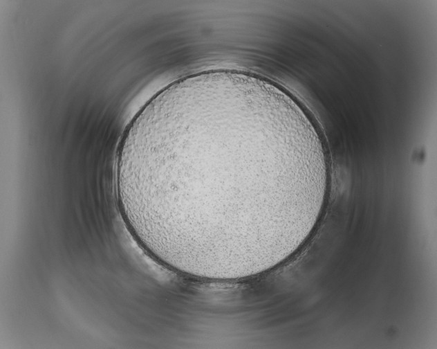 X0000114681290200911121448