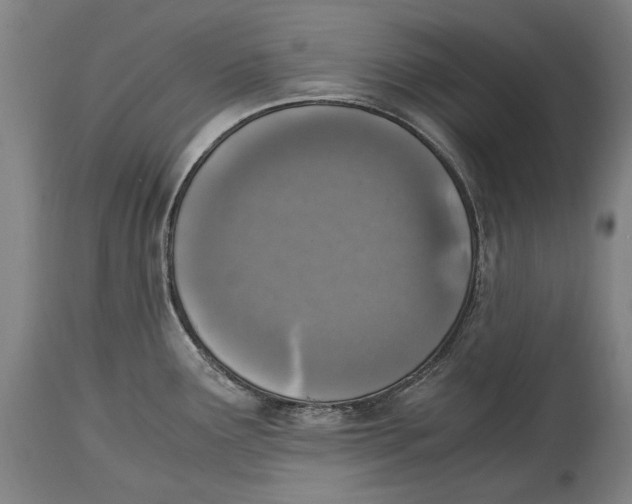X0000114681291200911121448