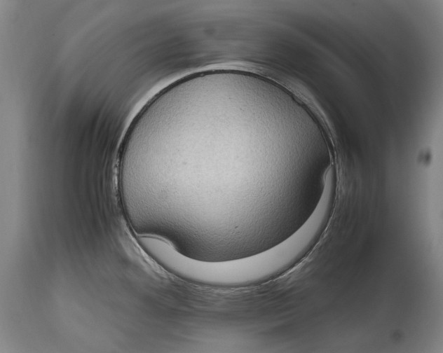 X0000114681292200911121448