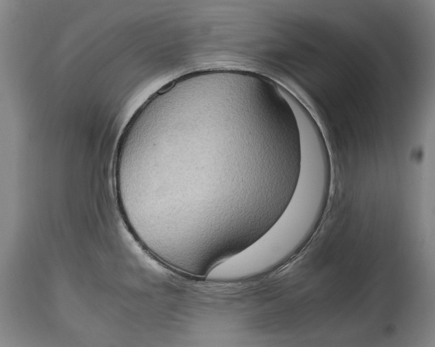 X0000114681293200911121448