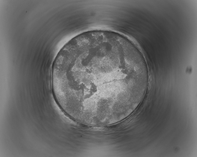 X0000114681295200911121448