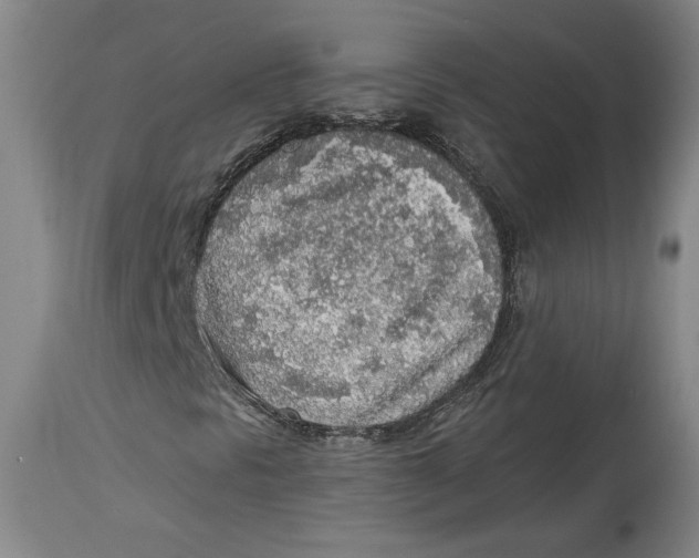 X0000114681297200911121447