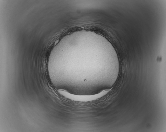 X0000114681298200911121447