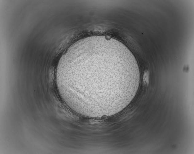 X0000114681299200911121447