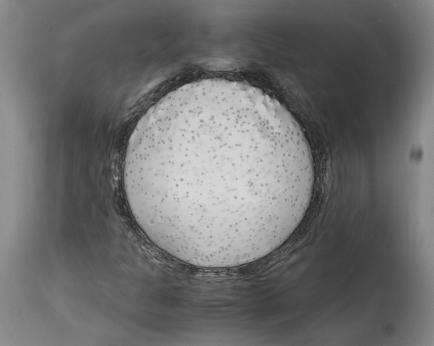 X0000114681301200911121447