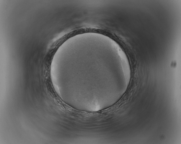 X0000114681303200911121447