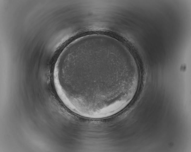 X0000114681306200911121447