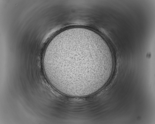 X0000114681307200911121447