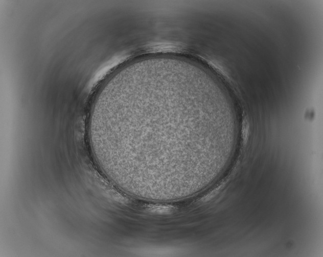 X0000114681309200911121448
