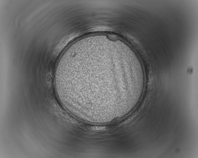 X0000114681313200911121448