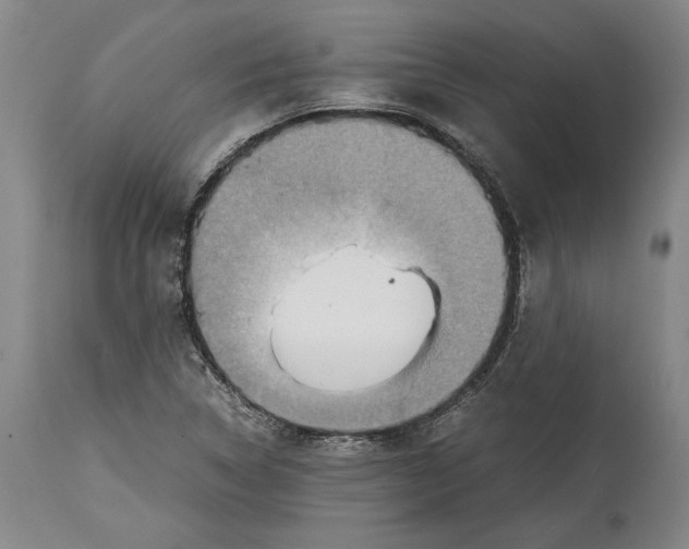 X0000114681314200911121448