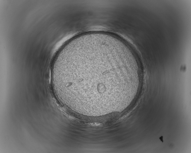 X0000114681317200911121448