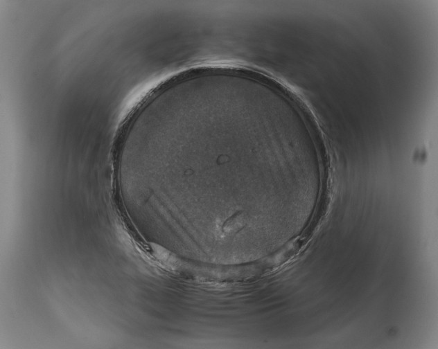 X0000114681319200911121448