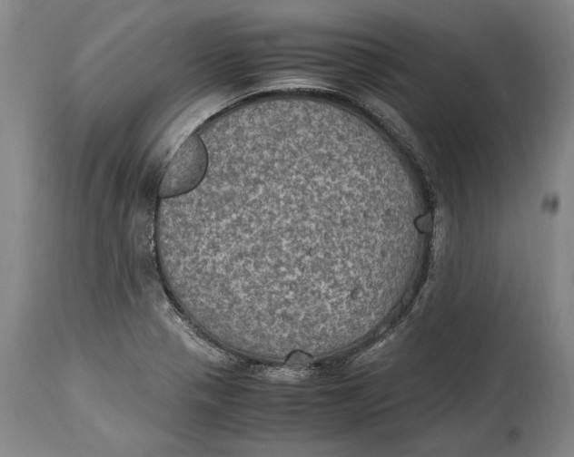 X0000114681321200911121448