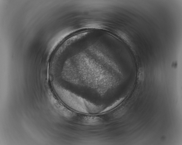 X0000114681323200911121448