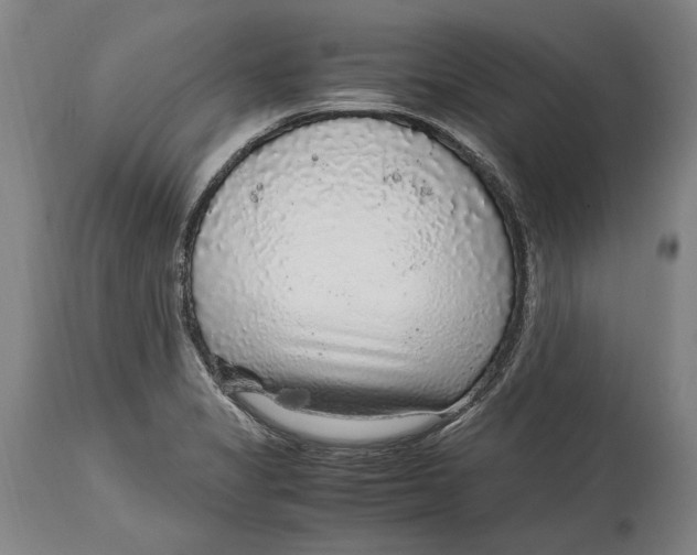 X0000114681325200911121448