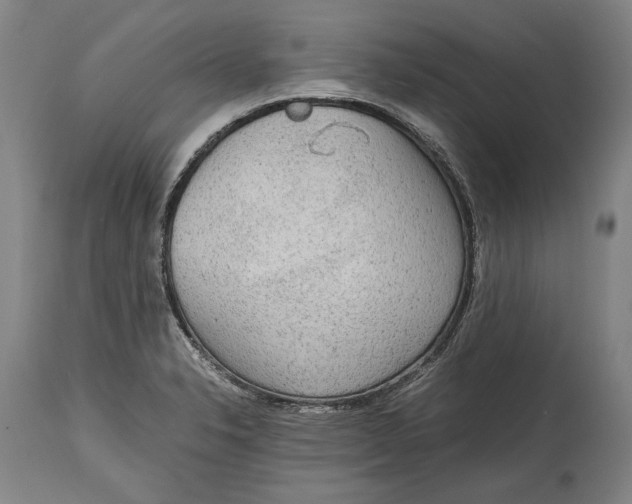 X0000114681326200911121448
