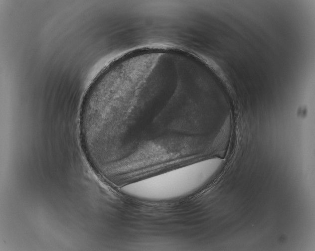 X0000114681327200911121448