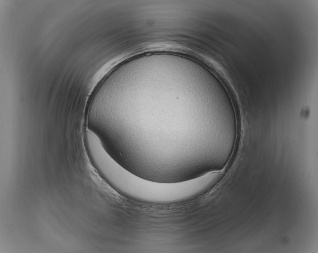 X0000114681330200911121448