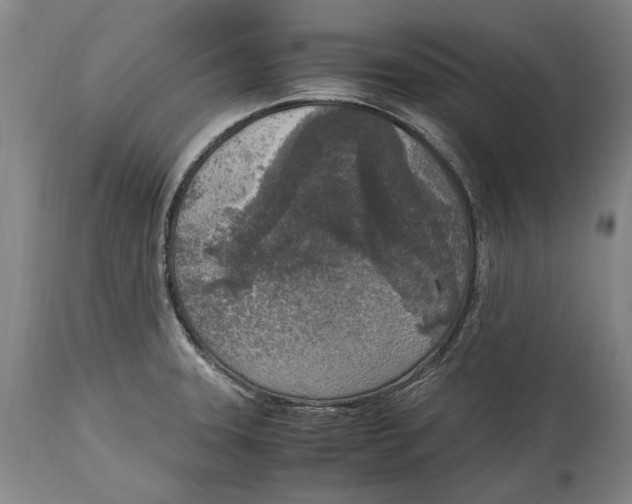 X0000114681331200911121448