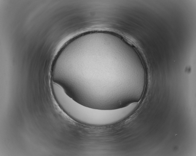 X0000114681334200911121448